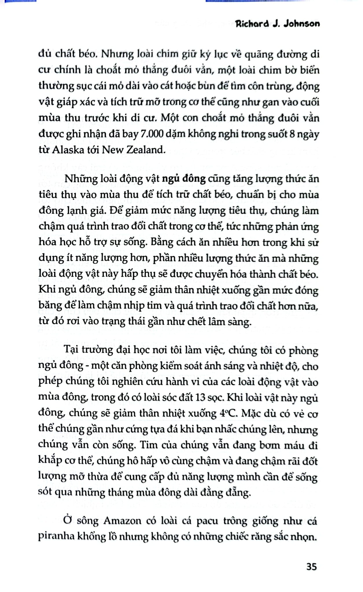 Bình Thường Hóa Khi Cơ Thể Tăng Cân - Richard J.Johnson