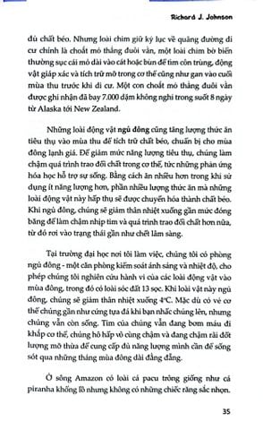  Bình Thường Hóa Khi Cơ Thể Tăng Cân - Richard J.Johnson 
