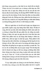 Nhịn Ăn Gián Đoạn - Gin Stephens