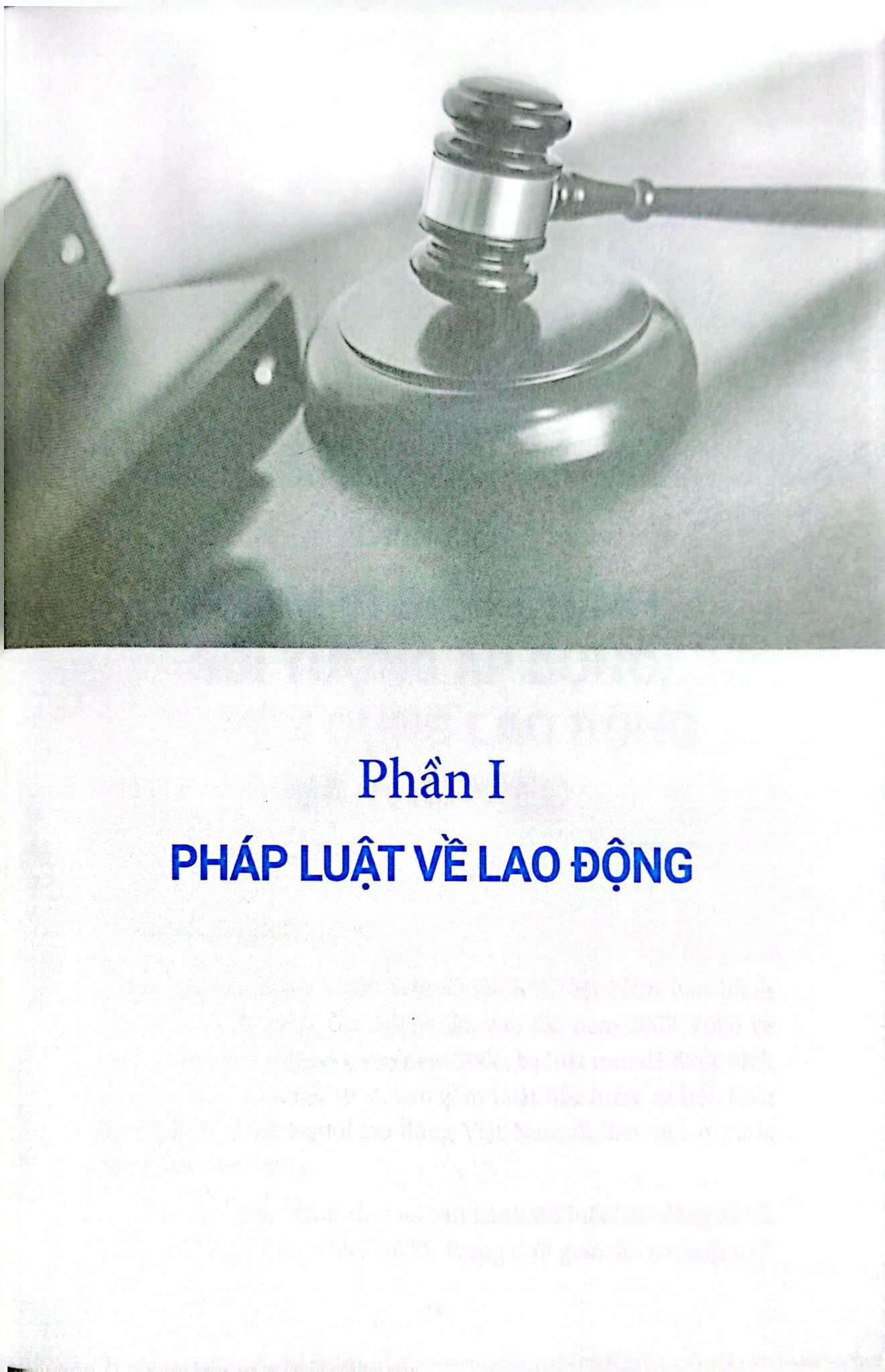 Sổ Tay Pháp Luật Lao Động (Tái Bản 2023) - Nguyễn Hữu Phước