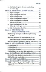 Sổ Tay Pháp Luật Lao Động (Tái Bản 2023) - Nguyễn Hữu Phước