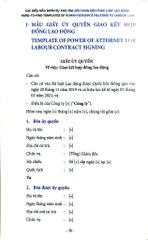 Các Biểu Mẫu Nhân Sự Khó Tìm Liên Quan Đến Pháp Luật Lao Động (Tái Bản 2021) - Nguyễn Hữu Phước