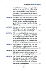 Các Câu Hỏi Khó Về Pháp Luật Lao Động - Nguyễn Hữu Phước