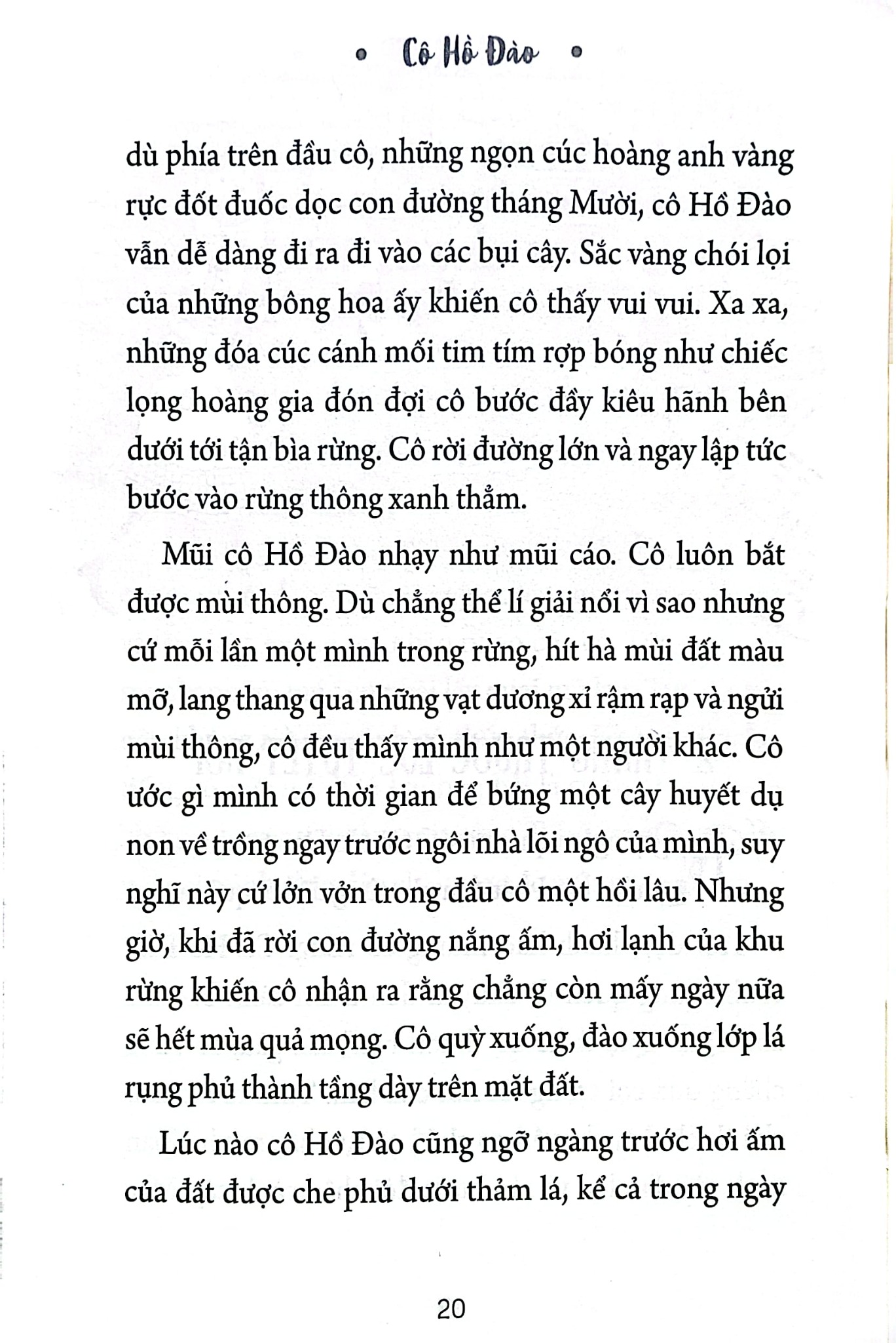 Cô Hồ Đào - Miss Hickory - Carolyn Sherwin Bailey