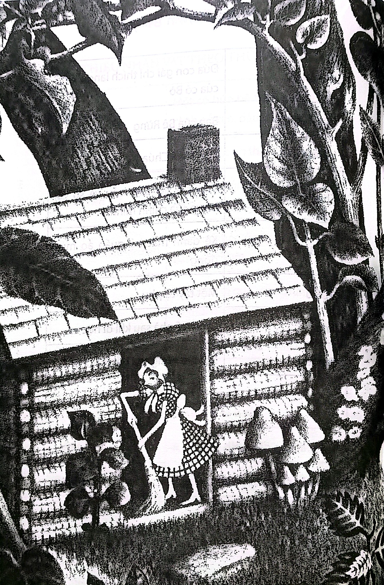 Cô Hồ Đào - Miss Hickory - Carolyn Sherwin Bailey