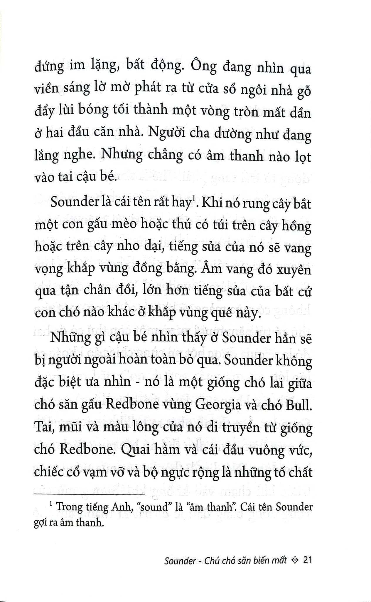 Sounder - Chú Chó Săn Biến Mất - William H. Armstrong