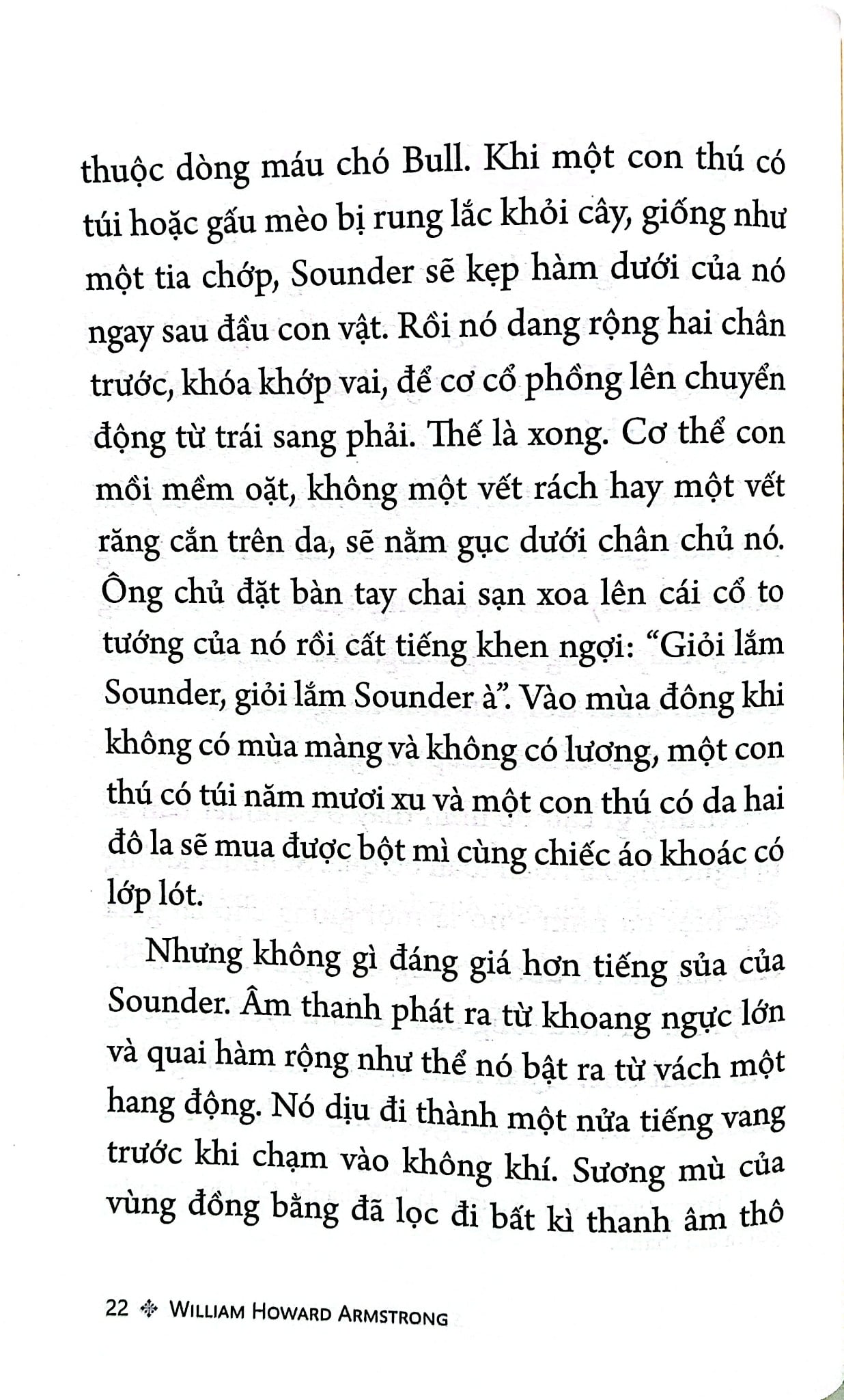 Sounder - Chú Chó Săn Biến Mất - William H. Armstrong