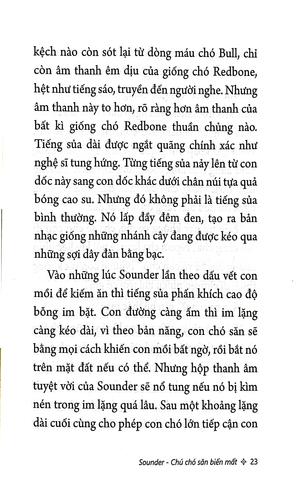 Sounder - Chú Chó Săn Biến Mất - William H. Armstrong