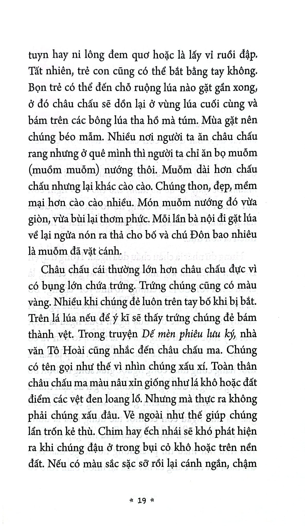 Ngày Xưa Bố Thế Nào - Nguyễn Quốc Vương