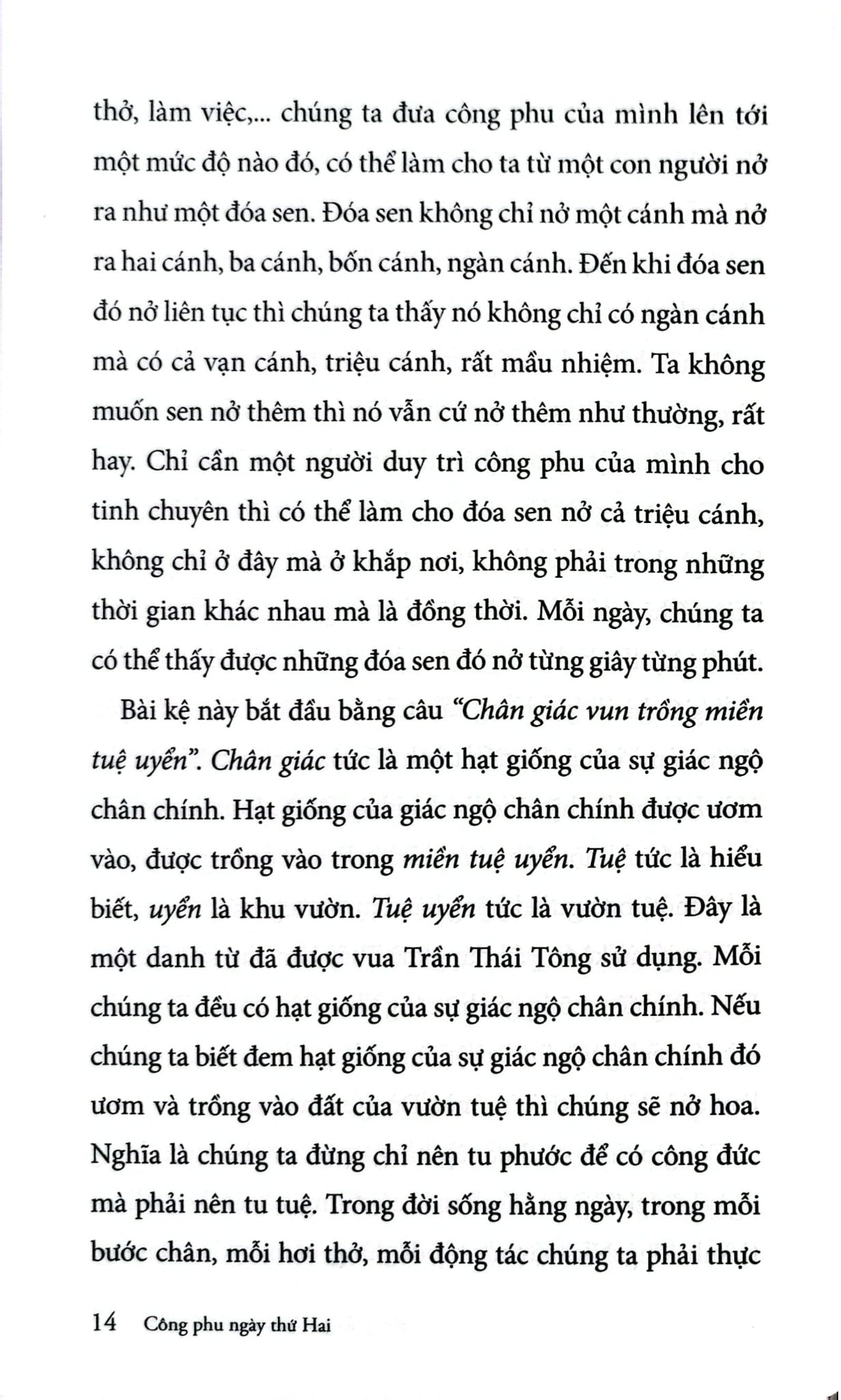 Combo 5 Quyển Nhật Tụng Thiền Môn Giảng Giải Công Phu Nở Đóa Sen Ngàn Cánh ( Tập 1 + 2 + 3 + 4 + 5 ) - Thích Nhất Hạnh