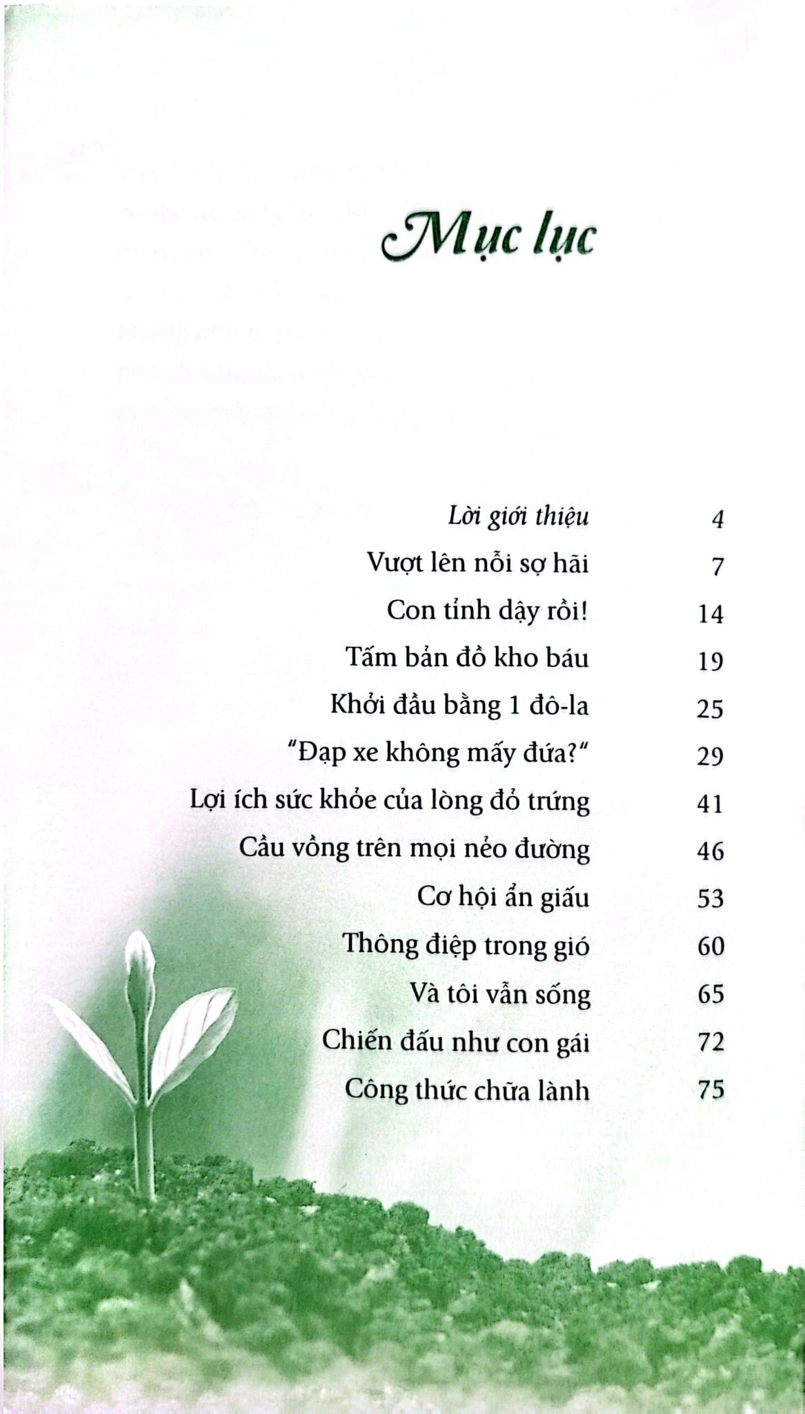 Combo 4 Cuốn Của Tác Giả Amy Newmark ( Vượt Qua Dông Bão + Gieo Hạt Mầm Tử Tế + Nắng Ấm Sau Mưa + Những Chồi Non Hy Vọng )