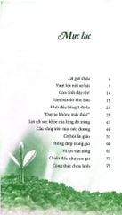Combo 4 Cuốn Của Tác Giả Amy Newmark ( Vượt Qua Dông Bão + Gieo Hạt Mầm Tử Tế + Nắng Ấm Sau Mưa + Những Chồi Non Hy Vọng )
