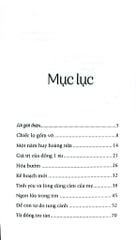 Combo 4 Cuốn Của Tác Giả Amy Newmark ( Vượt Qua Dông Bão + Gieo Hạt Mầm Tử Tế + Nắng Ấm Sau Mưa + Những Chồi Non Hy Vọng )