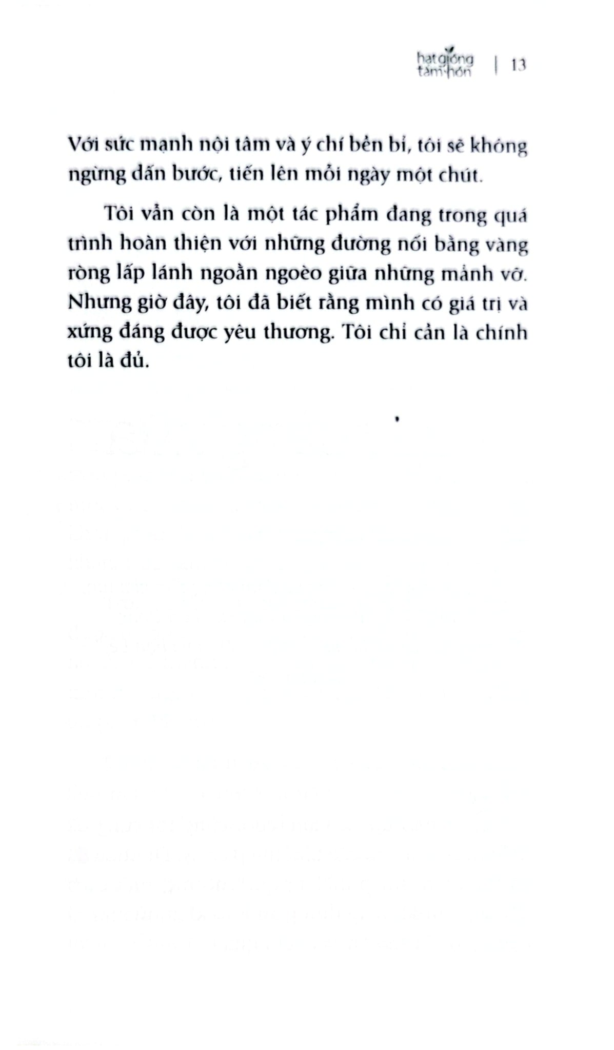 Combo 4 Cuốn Của Tác Giả Amy Newmark ( Vượt Qua Dông Bão + Gieo Hạt Mầm Tử Tế + Nắng Ấm Sau Mưa + Những Chồi Non Hy Vọng )
