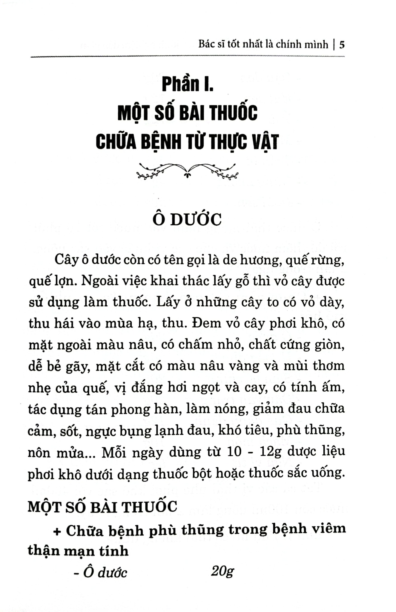 500 Bài Thuốc Hay Chữa Bệnh Theo Kinh Nghiệm Dân Gian - Hải Yến
