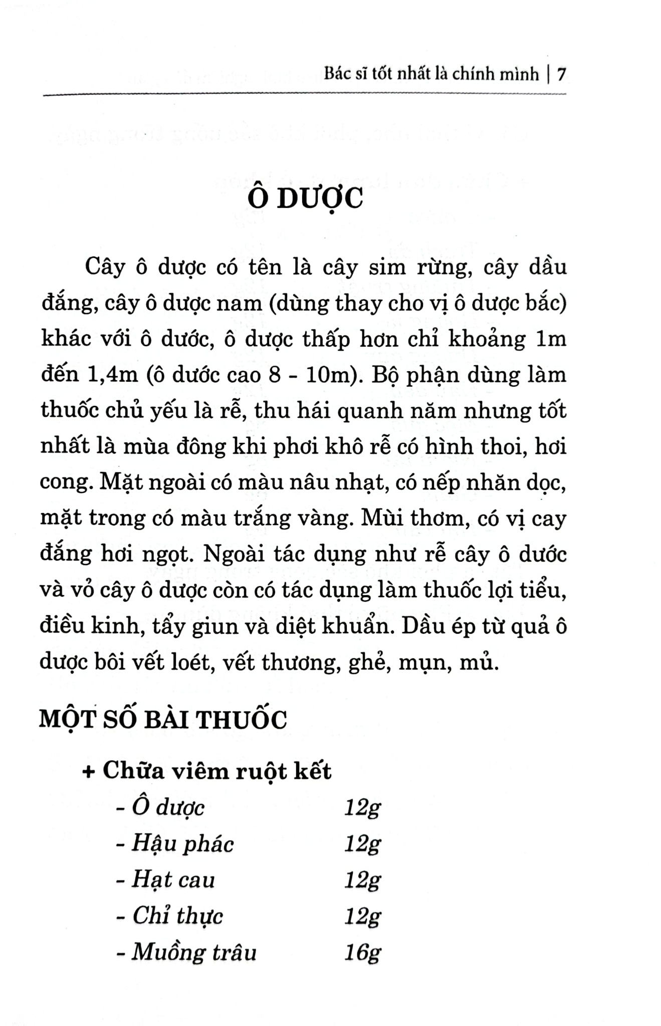 500 Bài Thuốc Hay Chữa Bệnh Theo Kinh Nghiệm Dân Gian - Hải Yến