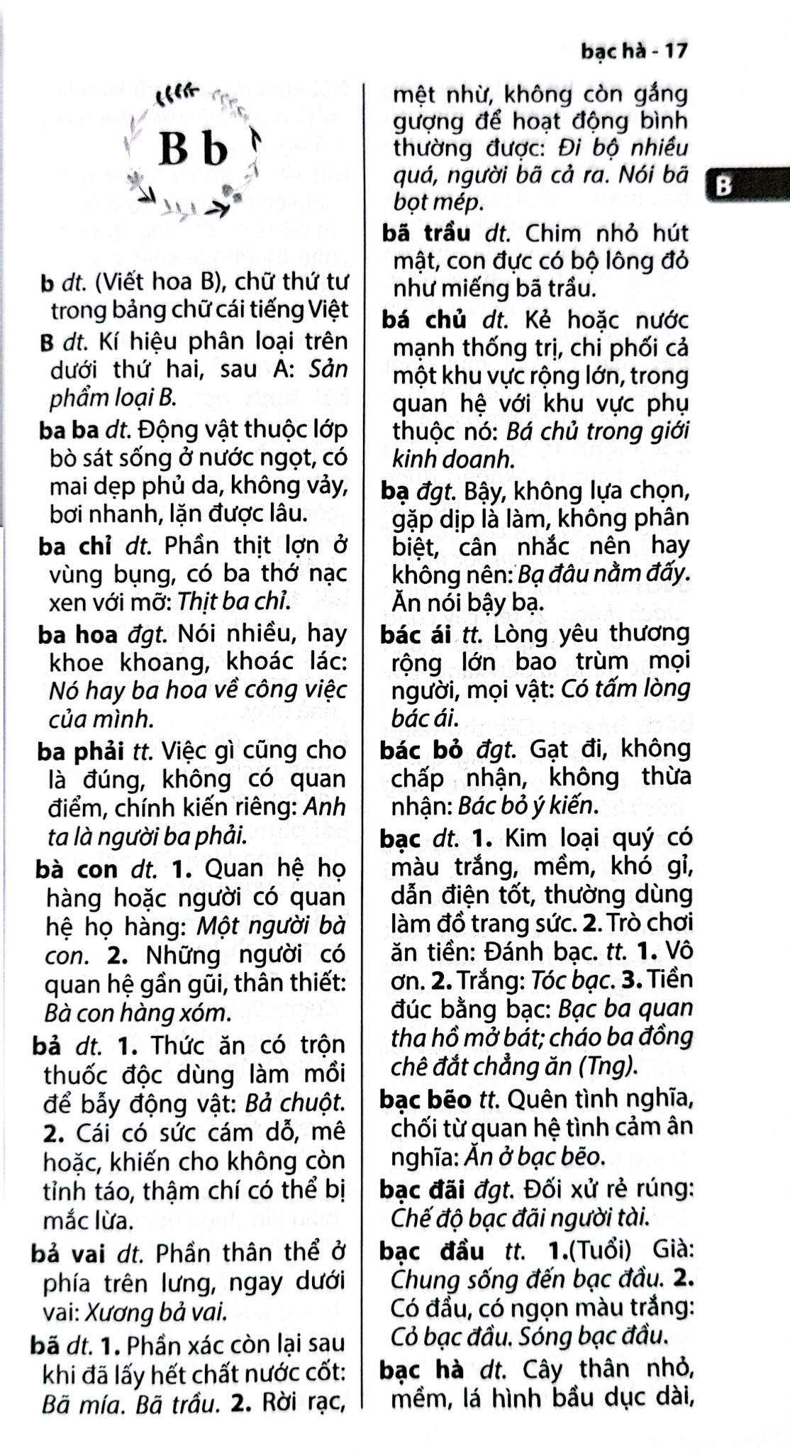 Từ Điển Tiếng Việt Thông Dụng - ( Khổ Lớn )- Thành Yến
