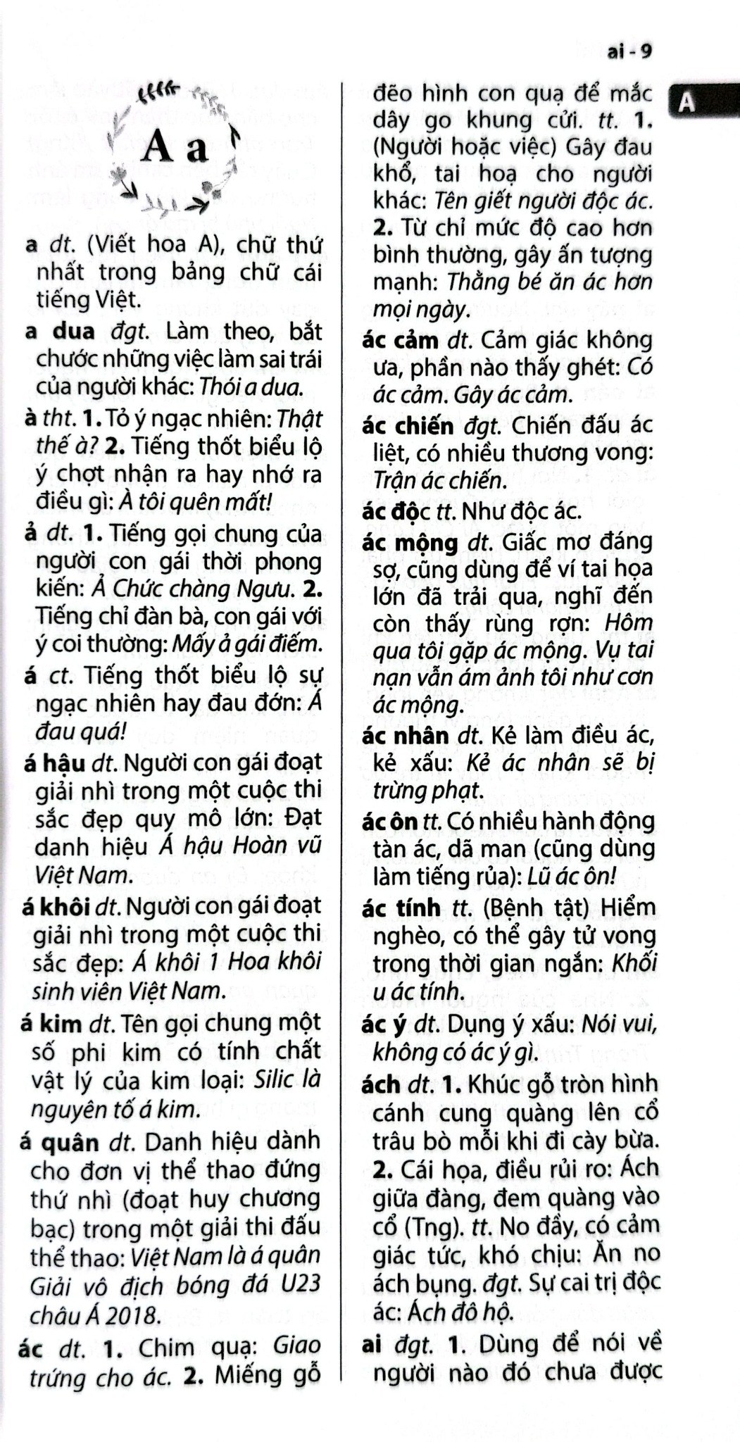 Từ Điển Tiếng Việt Thông Dụng - ( Khổ Lớn )- Thành Yến