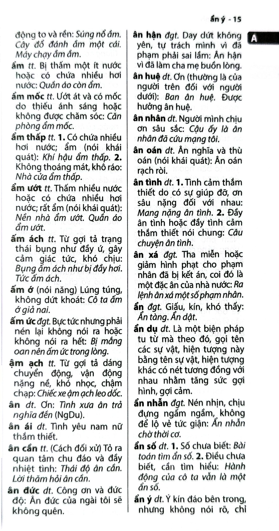 Từ Điển Tiếng Việt Thông Dụng - ( Khổ Lớn )- Thành Yến