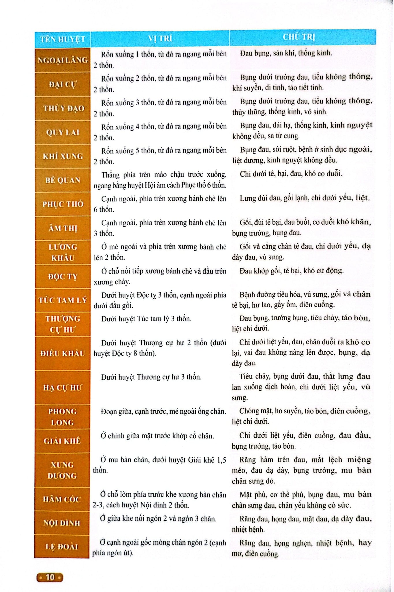Đồ Giải Kinh Lạc Huyệt Vị Cơ Thể - Từ Bình