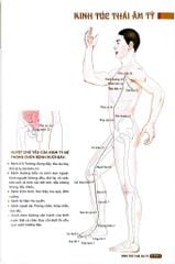 Đồ Giải Kinh Lạc Huyệt Vị Cơ Thể - Từ Bình