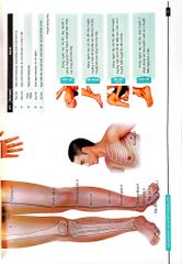 Đồ Giải Kinh Lạc Huyệt Vị - Nam Giới - Hoàng Duy Tân