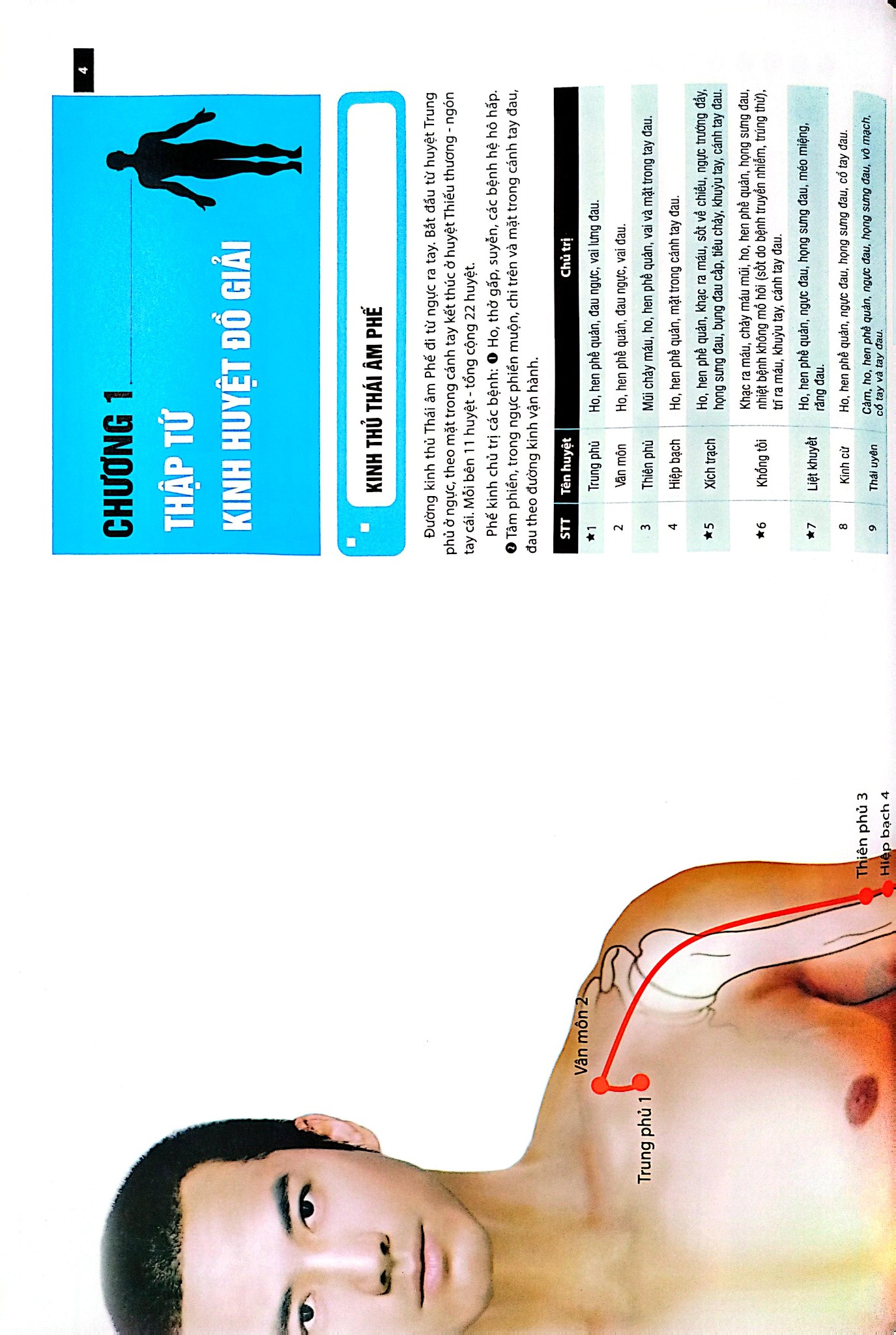 Đồ Giải Kinh Lạc Huyệt Vị - Nam Giới - Hoàng Duy Tân
