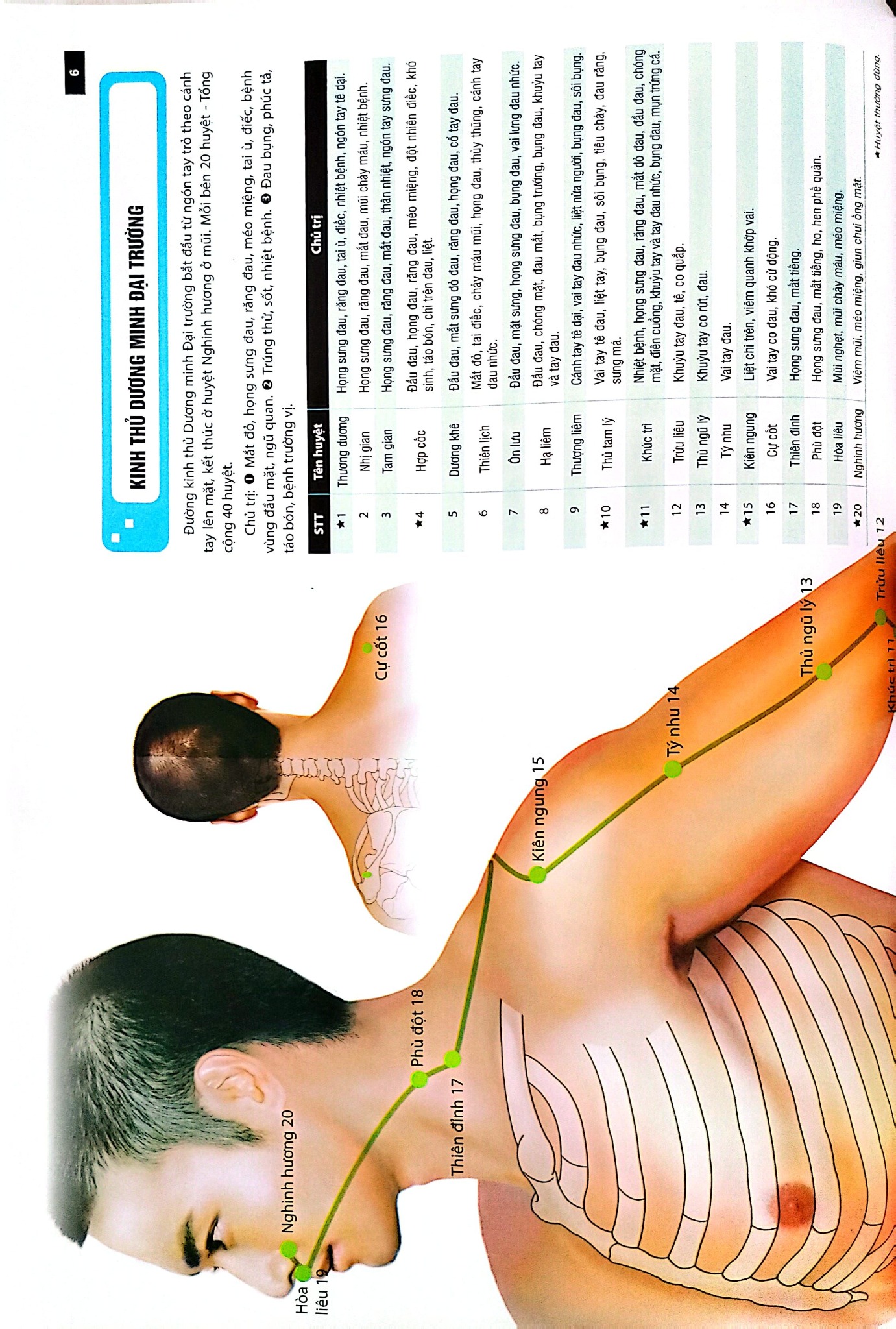 Đồ Giải Kinh Lạc Huyệt Vị - Nam Giới - Hoàng Duy Tân