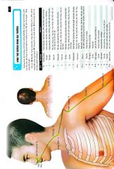 Đồ Giải Kinh Lạc Huyệt Vị - Nam Giới - Hoàng Duy Tân