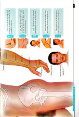 Đồ Giải Kinh Lạc Huyệt Vị - Nam Giới - Hoàng Duy Tân