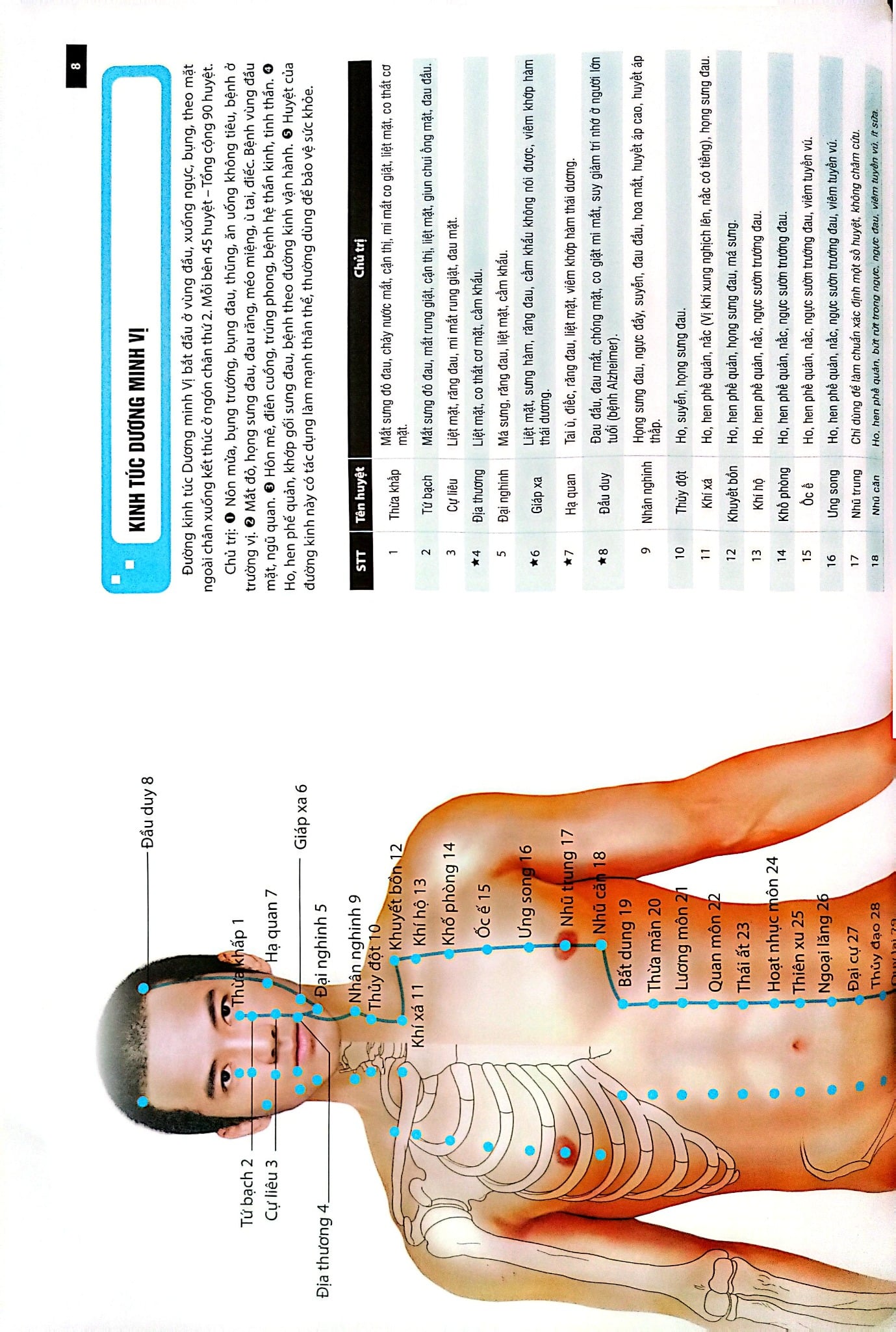 Đồ Giải Kinh Lạc Huyệt Vị - Nam Giới - Hoàng Duy Tân