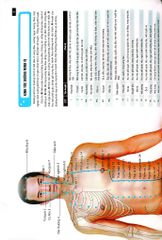 Đồ Giải Kinh Lạc Huyệt Vị - Nam Giới - Hoàng Duy Tân