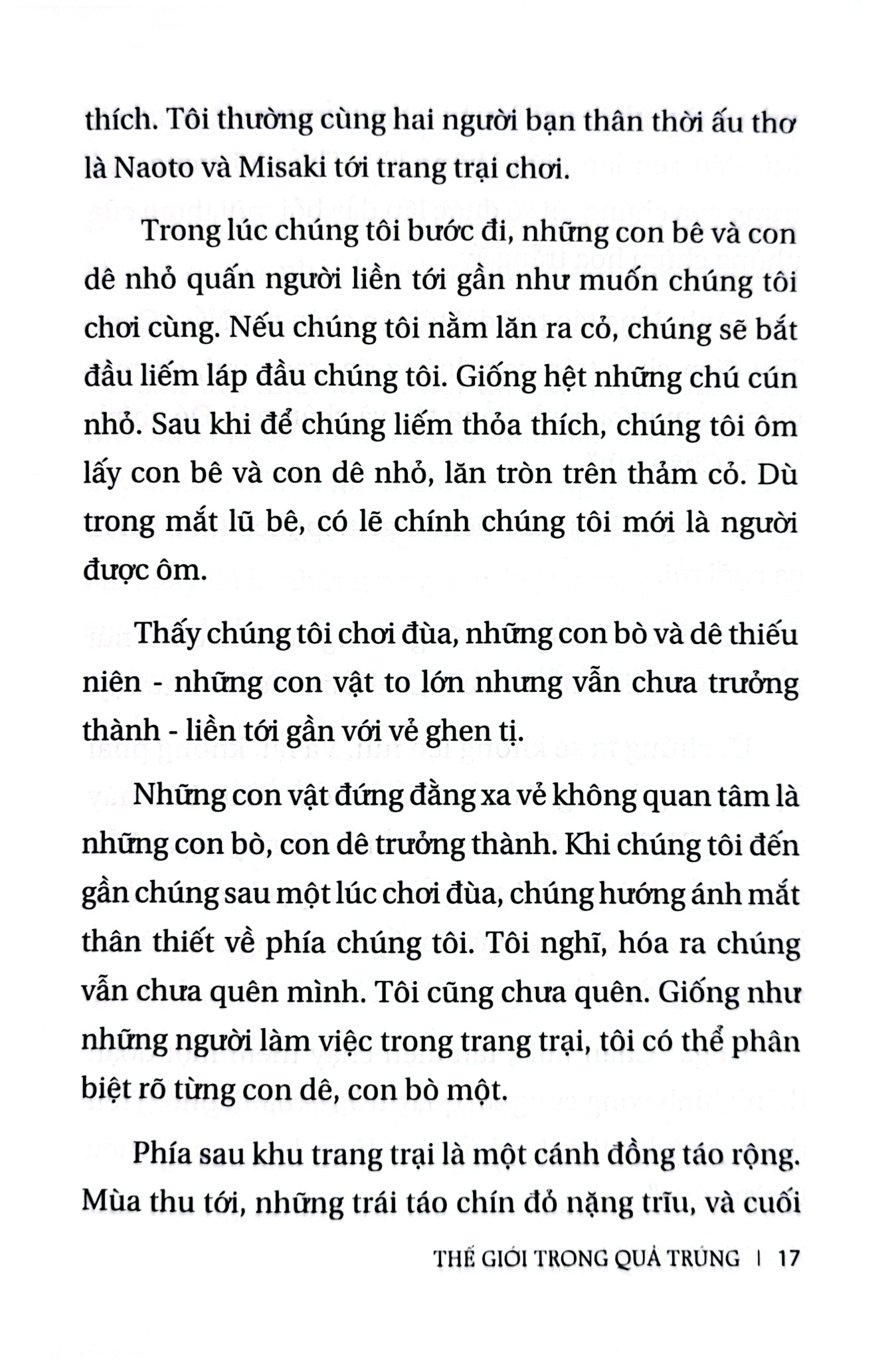 Thế Giới Trong Quả Trứng - Mutsumi Ishii