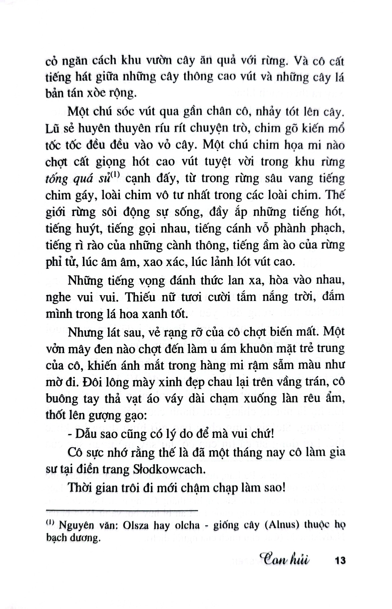 Con Hủi - Bìa Cứng - Helena Mniszek