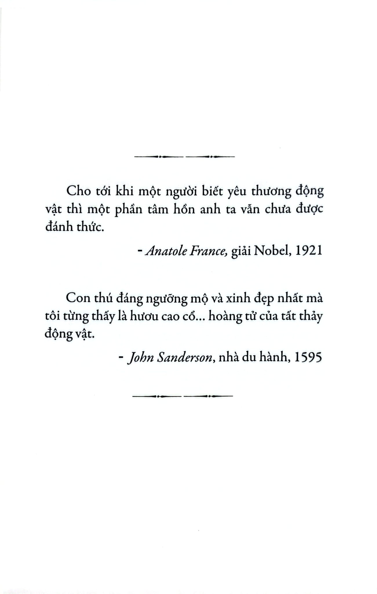 Phía Tây Có Đàn Hươu Cao Cổ - Lynda Rutledge
