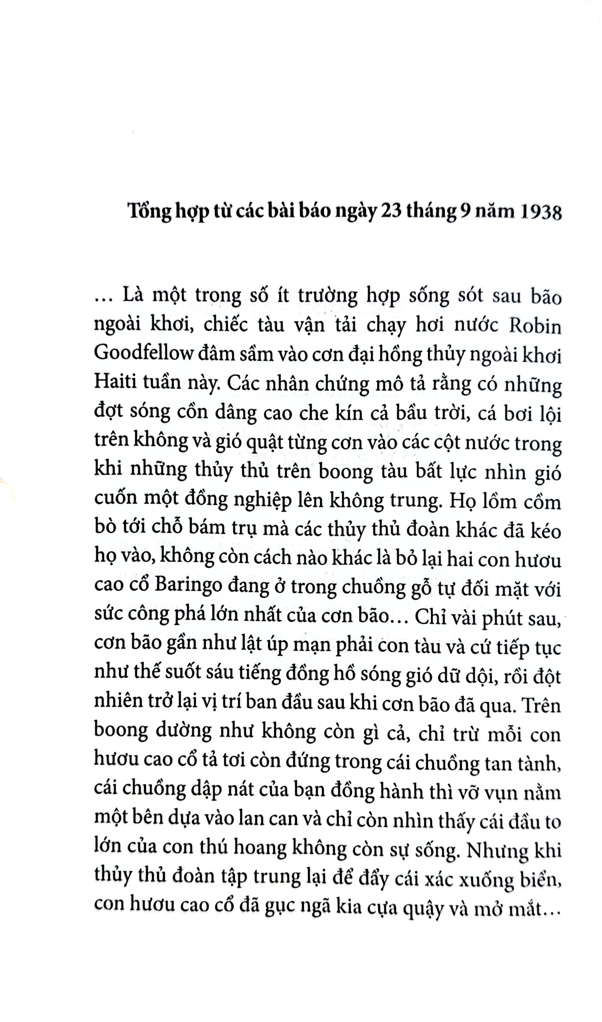 Phía Tây Có Đàn Hươu Cao Cổ - Lynda Rutledge