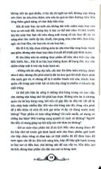Cẩm Nang Du Lịch Văn Hóa Tâm Linh Việt Nam - Nguyễn Văn Tân