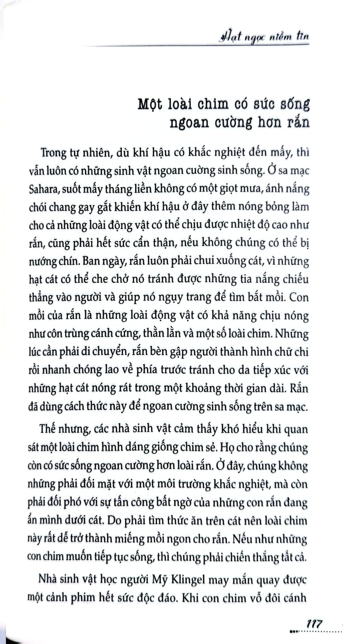 Tủ Sách Kỹ Năng - Hạt Ngọc Niềm Tin - Trần Giang Sơn