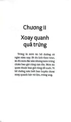 Bộ Sách Ăn Để Sướng Hay Ăn Để Sợ? - Vũ Thế Thành