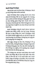 Bộ Sách Ăn Để Sướng Hay Ăn Để Sợ? - Vũ Thế Thành