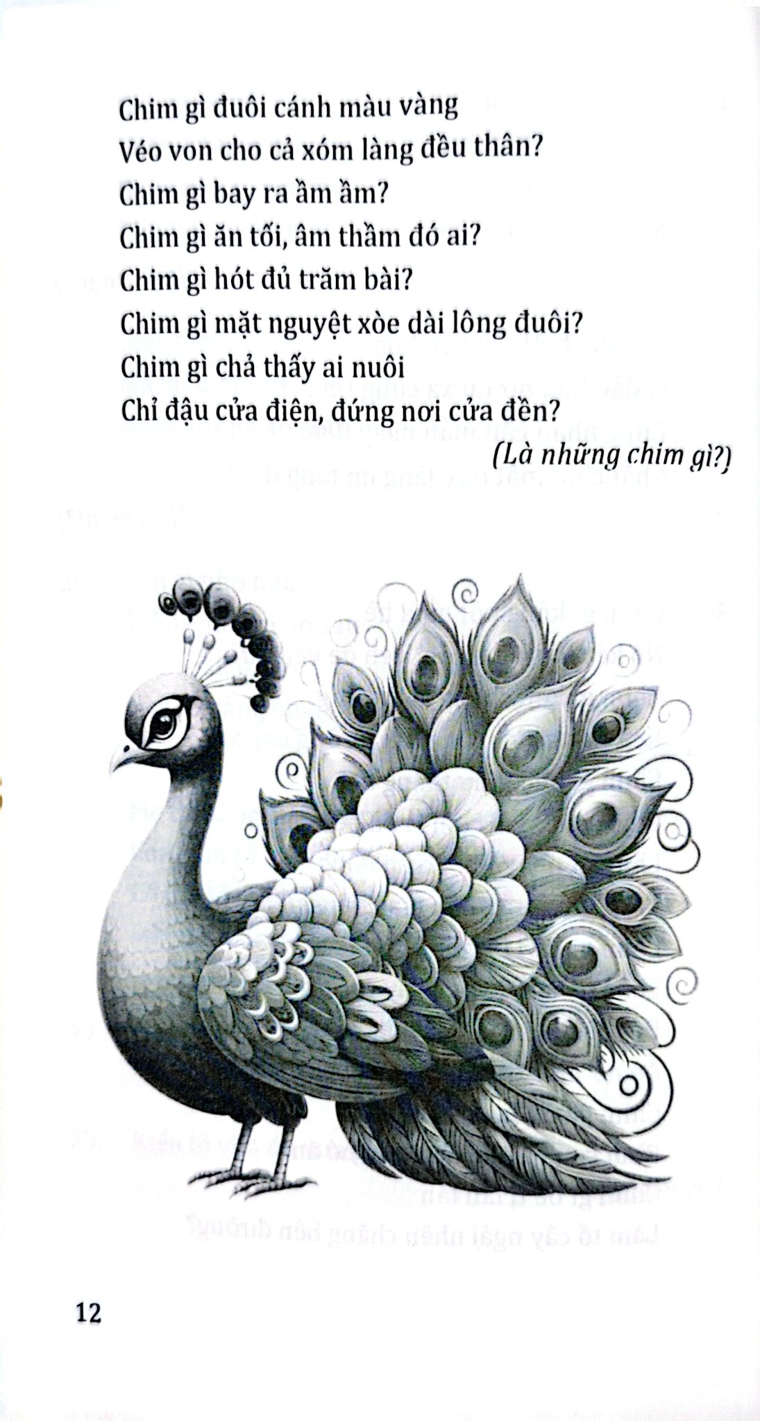 Câu Đố Về Các Loài Vật - Quang Minh