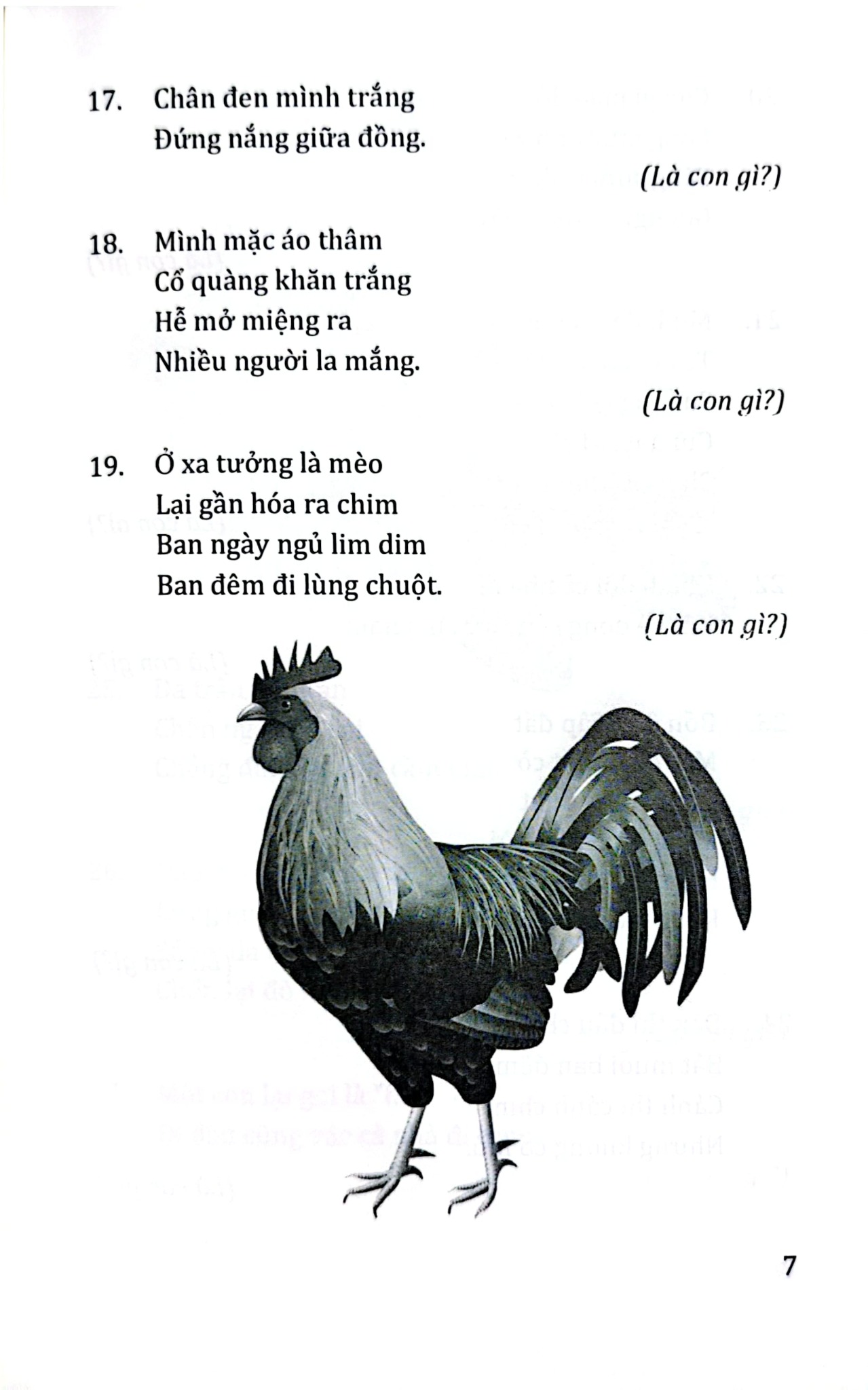 Câu Đố Về Các Loài Vật - Quang Minh