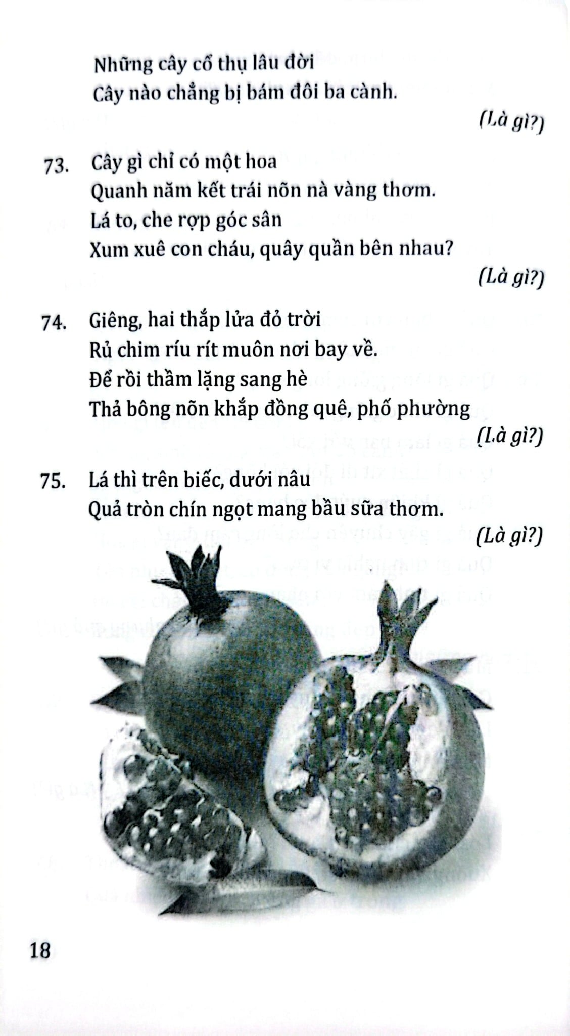 Câu Đố Về Cỏ Cây Hoa Lá - Quang Minh