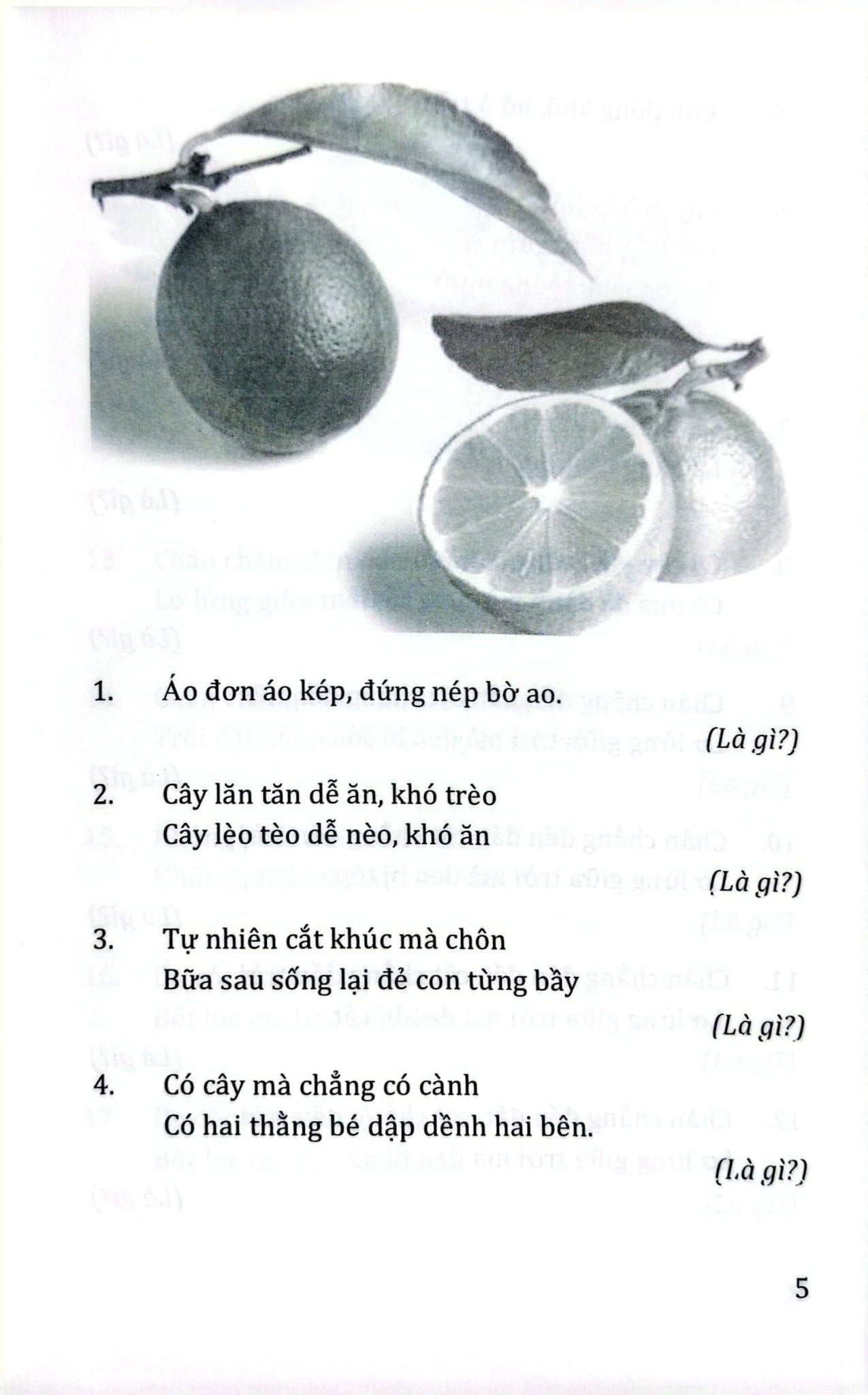 Câu Đố Về Cỏ Cây Hoa Lá - Quang Minh
