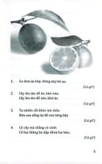 Câu Đố Về Cỏ Cây Hoa Lá - Quang Minh