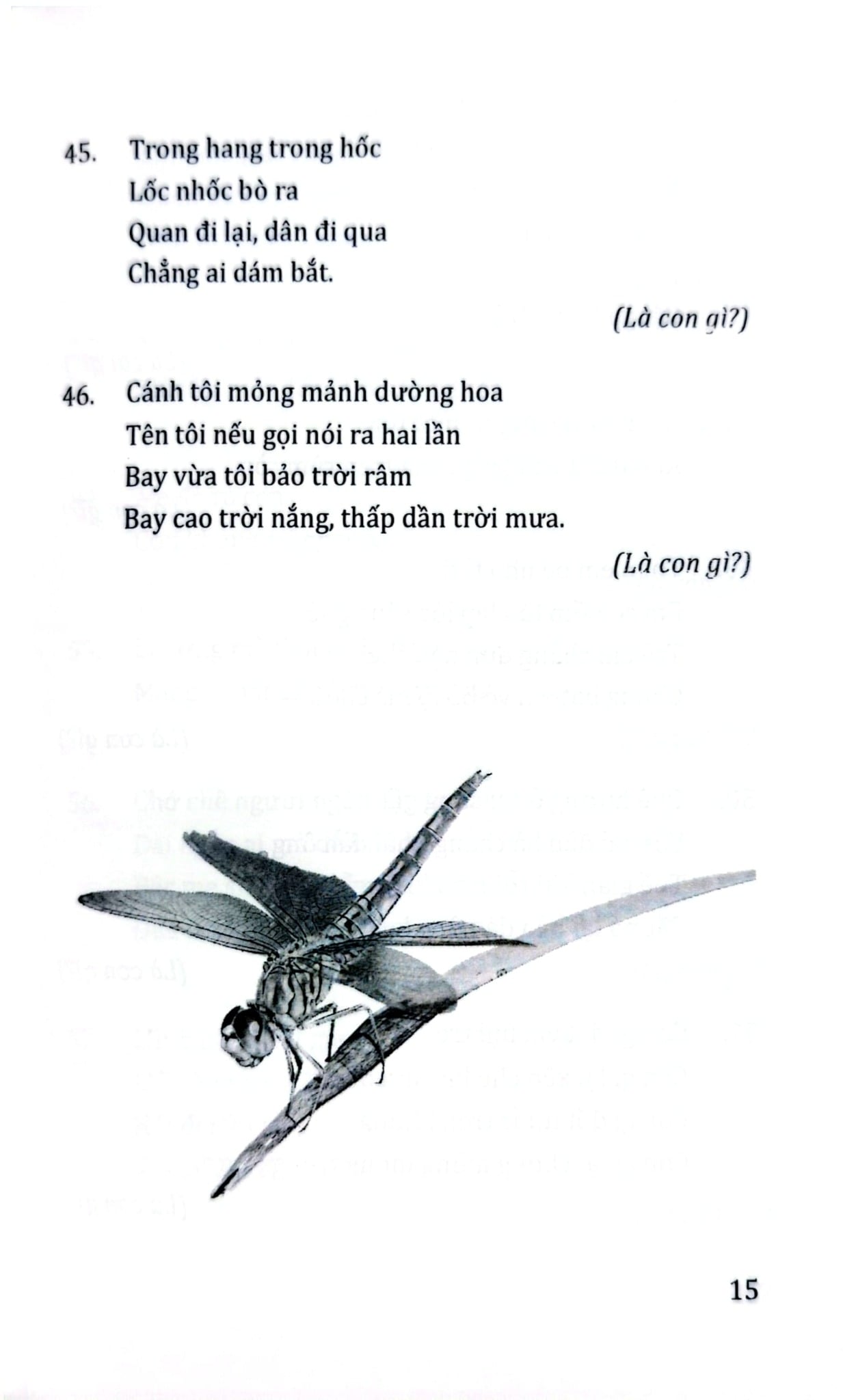 Câu Đố Thông Minh Dí Dỏm - Quang Minh