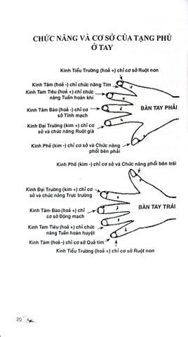  Khí Công Y Đạo - Quy Kinh Chẩn Pháp - Đỗ Đức Ngọc 