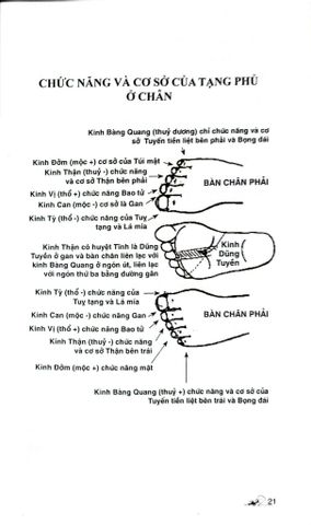  Khí Công Y Đạo - Quy Kinh Chẩn Pháp - Đỗ Đức Ngọc 