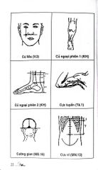 Khí Công Y Đạo - Sổ Tay Tìm Huyệt - Đỗ Đức Ngọc