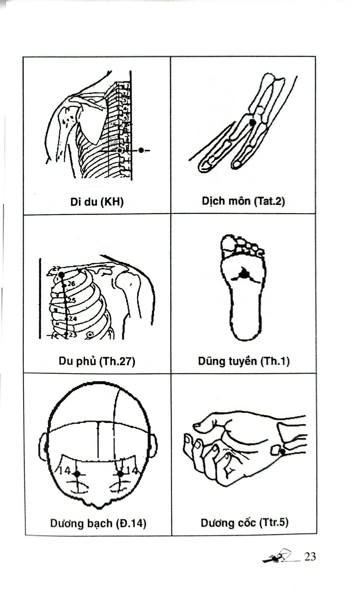 Khí Công Y Đạo - Sổ Tay Tìm Huyệt - Đỗ Đức Ngọc